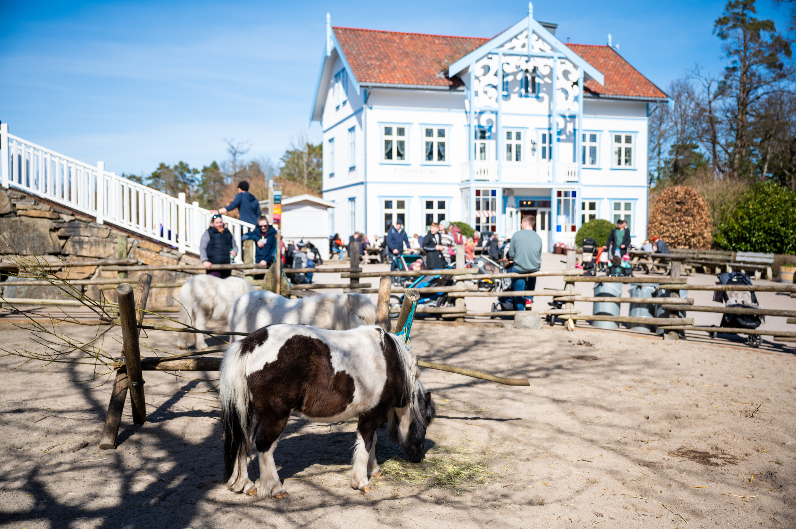 Dyreparken Paske  daniel.schjott 5519 scaled