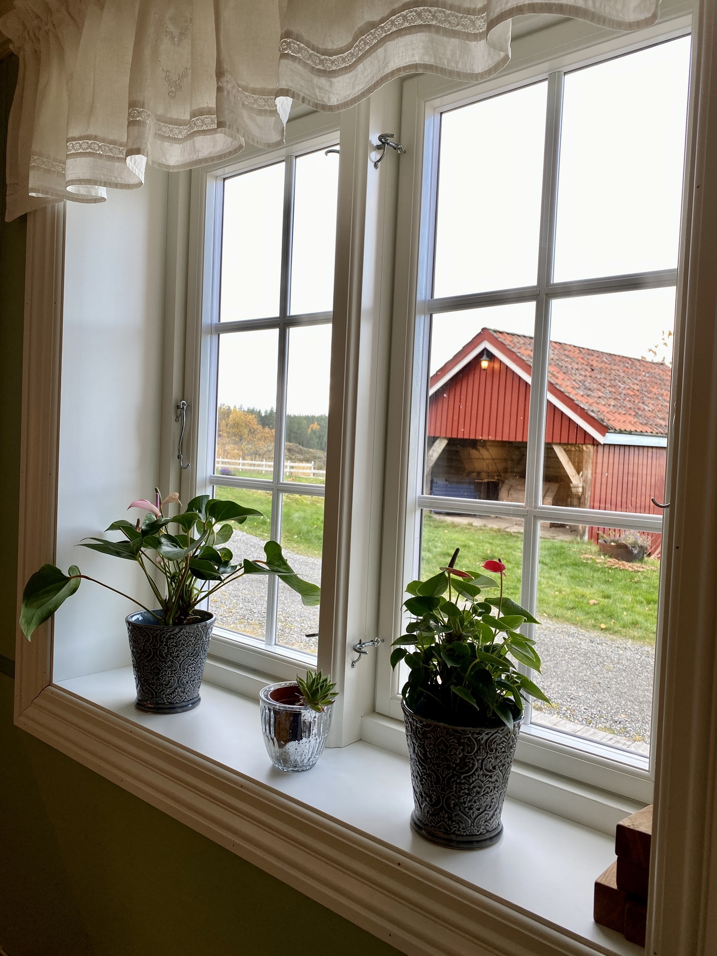 Mjavatn Vegarshei BYV 02008 Foto Ingvild Hovden